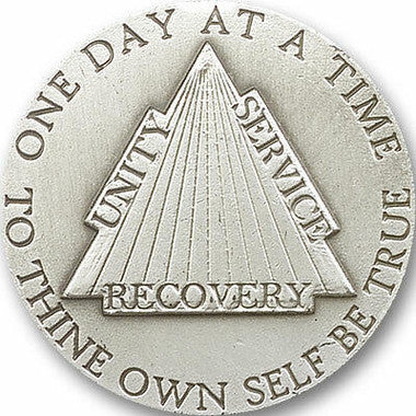 Recovery Visor Clip - Silver Finish (1037V)