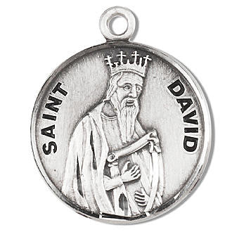 St. David Medal - Sterling Silver - On 20" Stainless Chain - Sterling Silver 7/8" x 3/4" Round Pendant